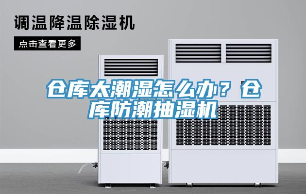 倉庫太潮濕怎么辦？倉庫防潮抽濕機