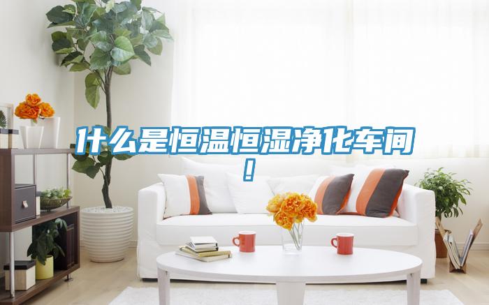 什么是恒溫恒濕凈化車間！