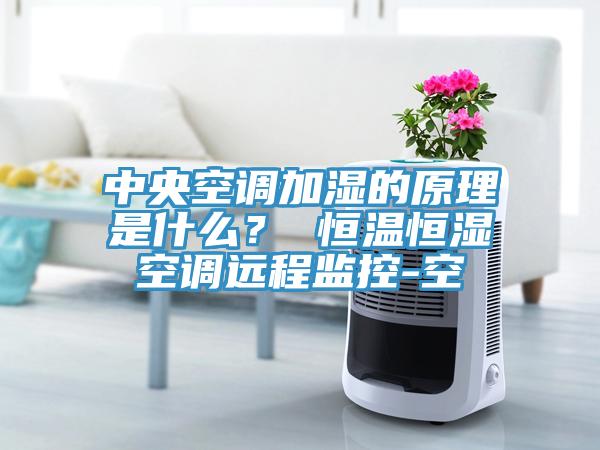 中央空調加濕的原理是什么？ 恒溫恒濕空調遠程監(jiān)控-空
