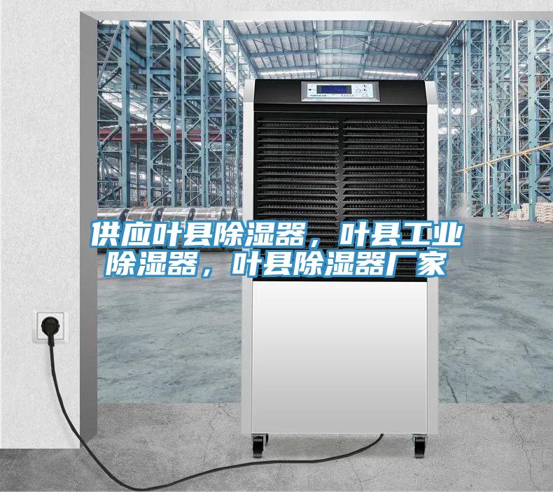 供應(yīng)葉縣除濕器，葉縣工業(yè)除濕器，葉縣除濕器廠家