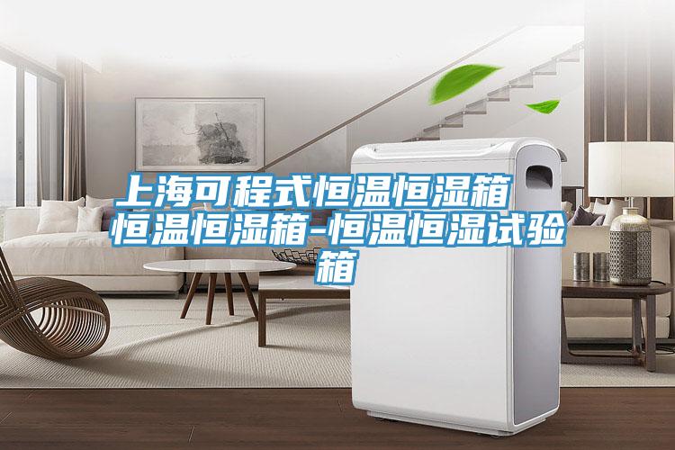 上?？沙淌胶銣睾銤裣? 恒溫恒濕箱-恒溫恒濕試驗(yàn)箱