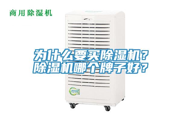 為什么要買除濕機？除濕機哪個牌子好？