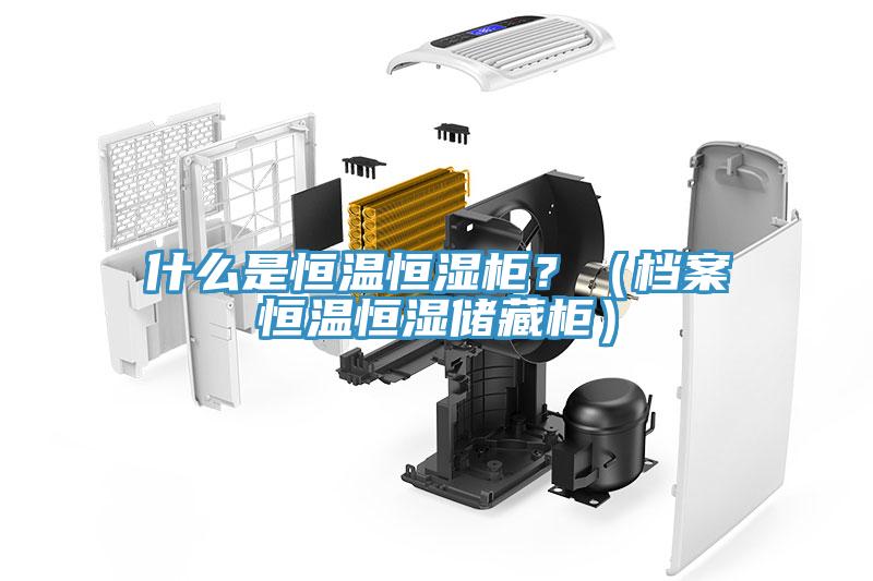 什么是恒溫恒濕柜？（檔案恒溫恒濕儲藏柜）