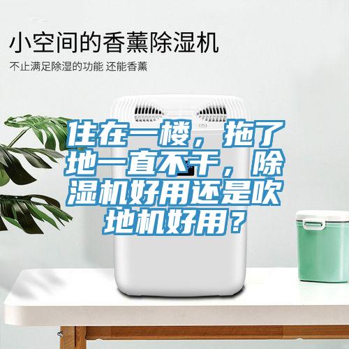 住在一樓，拖了地一直不干，除濕機好用還是吹地機好用？