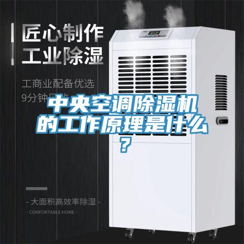 中央空調(diào)除濕機的工作原理是什么？
