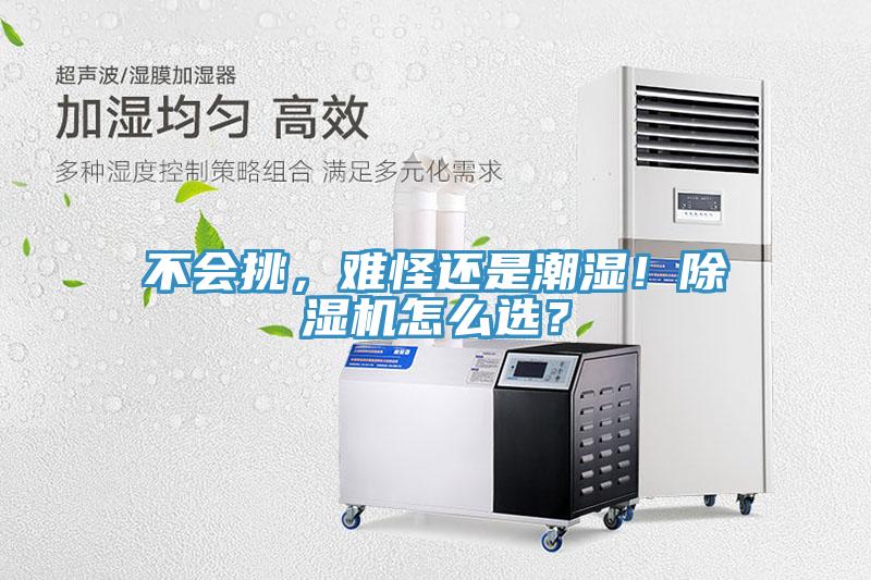 不會挑，難怪還是潮濕！除濕機怎么選？