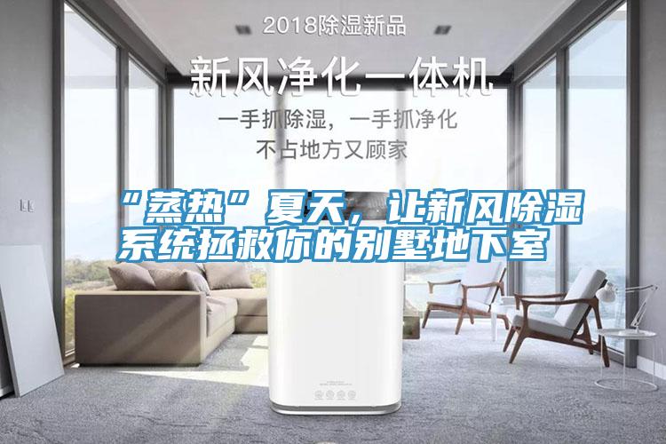“蒸熱”夏天，讓新風(fēng)除濕系統(tǒng)拯救你的別墅地下室