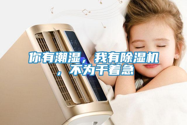 你有潮濕，我有除濕機(jī)，不為干著急