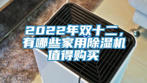 2022年雙十二，有哪些家用除濕機(jī)值得購買