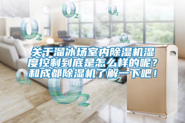 關(guān)于溜冰場室內(nèi)除濕機(jī)濕度控制到底是怎么樣的呢？和成都除濕機(jī)了解一下吧！