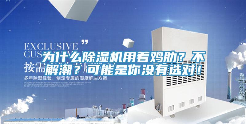 為什么除濕機用著雞肋？不解潮？可能是你沒有選對！