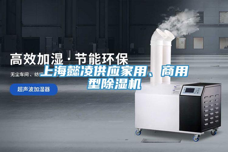 上海懿凌供應(yīng)家用、商用型除濕機(jī)