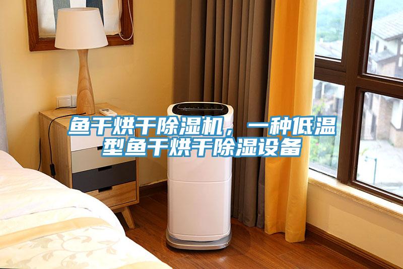 魚干烘干除濕機(jī)，一種低溫型魚干烘干除濕設(shè)備