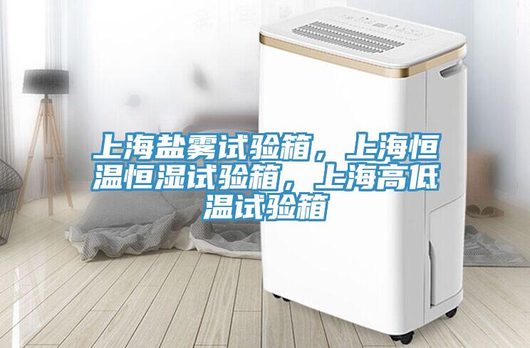 上海鹽霧試驗(yàn)箱，上海恒溫恒濕試驗(yàn)箱，上海高低溫試驗(yàn)箱