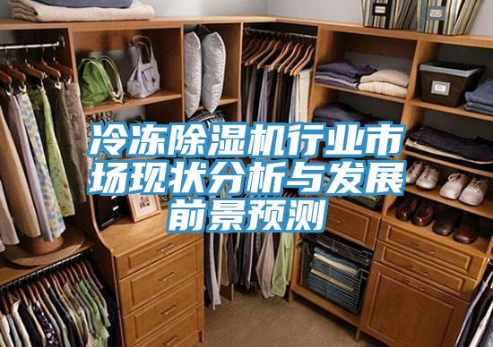 冷凍除濕機行業(yè)市場現(xiàn)狀分析與發(fā)展前景預測