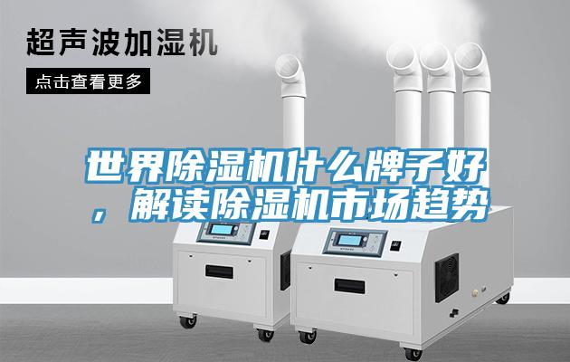 世界除濕機(jī)什么牌子好，解讀除濕機(jī)市場(chǎng)趨勢(shì)