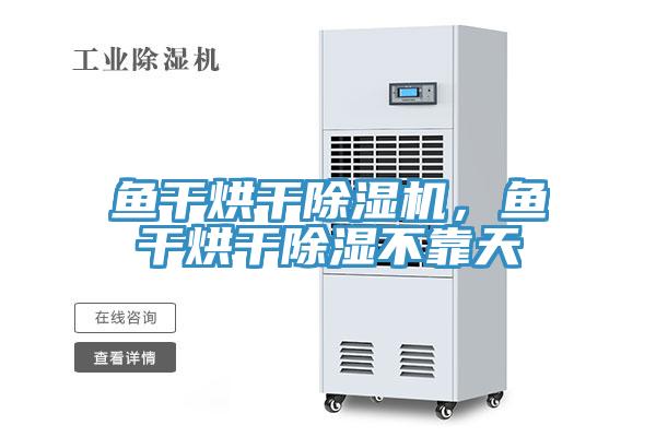 魚干烘干除濕機(jī)，魚干烘干除濕不靠天