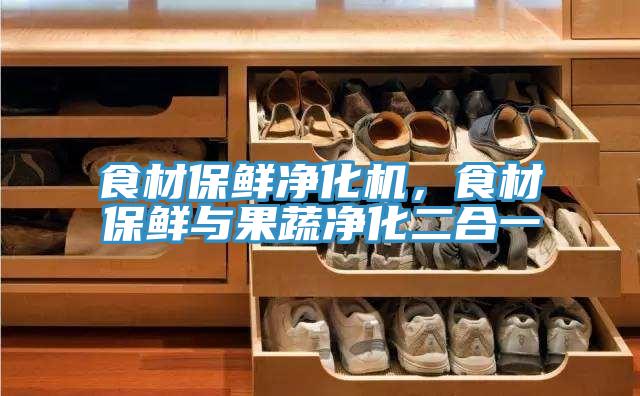 食材保鮮凈化機(jī)，食材保鮮與果蔬凈化二合一