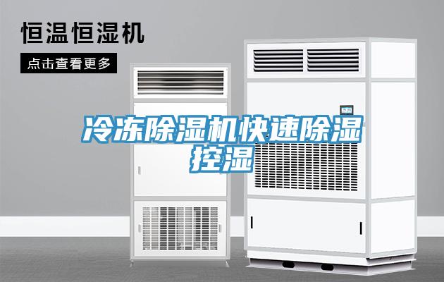 冷凍除濕機(jī)快速除濕控濕