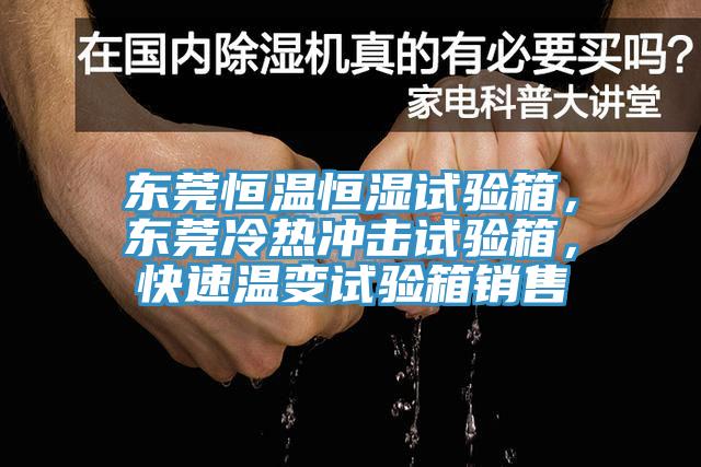 東莞恒溫恒濕試驗箱，東莞冷熱沖擊試驗箱，快速溫變試驗箱銷售