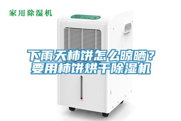 下雨天柿餅怎么晾曬？要用柿餅烘干除濕機(jī)