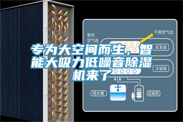 專為大空間而生，智能大吸力低噪音除濕機(jī)來(lái)了