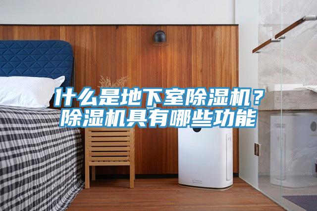 什么是地下室除濕機？除濕機具有哪些功能