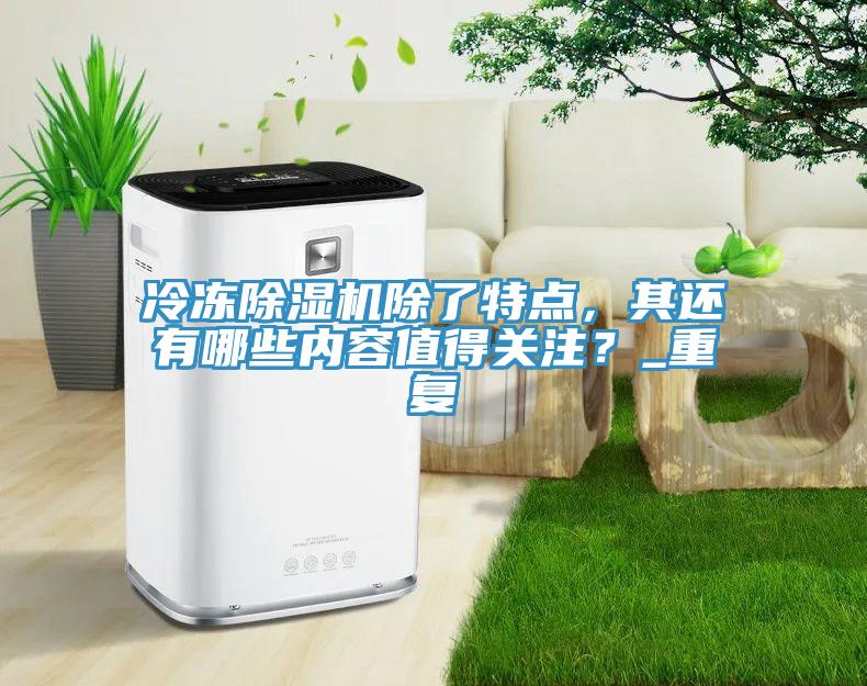 冷凍除濕機除了特點，其還有哪些內(nèi)容值得關(guān)注？_重復