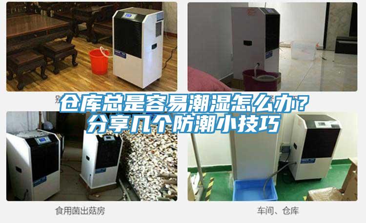 倉庫總是容易潮濕怎么辦？分享幾個防潮小技巧
