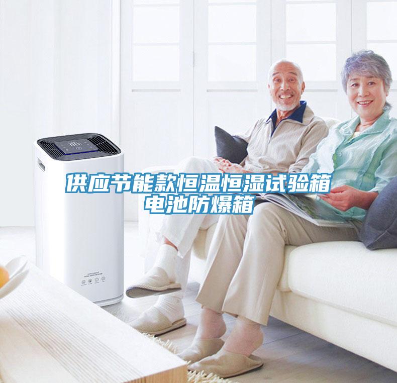 供應(yīng)節(jié)能款恒溫恒濕試驗箱電池防爆箱