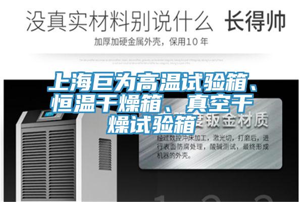 上海巨為高溫試驗(yàn)箱、恒溫干燥箱、真空干燥試驗(yàn)箱