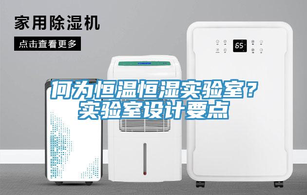 何為恒溫恒濕實(shí)驗(yàn)室？實(shí)驗(yàn)室設(shè)計要點(diǎn)