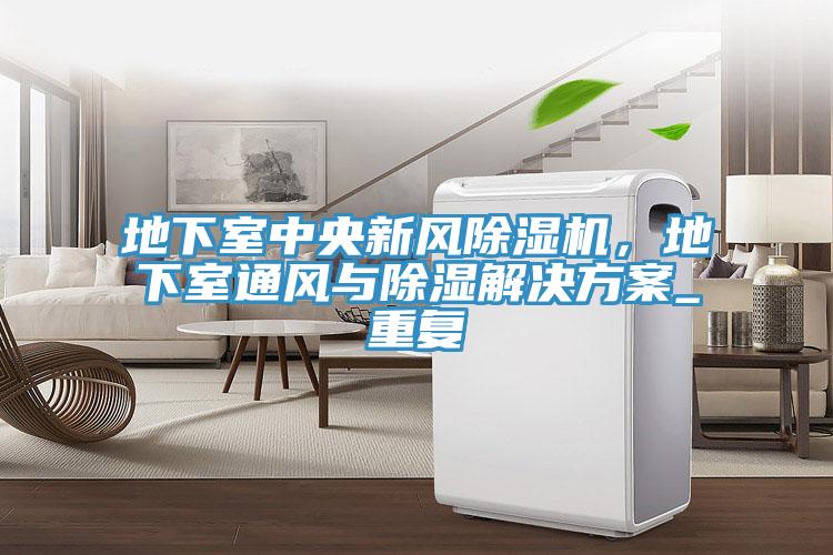 地下室中央新風(fēng)除濕機，地下室通風(fēng)與除濕解決方案_重復(fù)