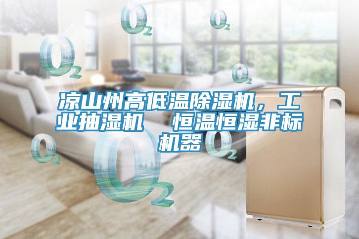 涼山州高低溫除濕機，工業(yè)抽濕機  恒溫恒濕非標(biāo)機器