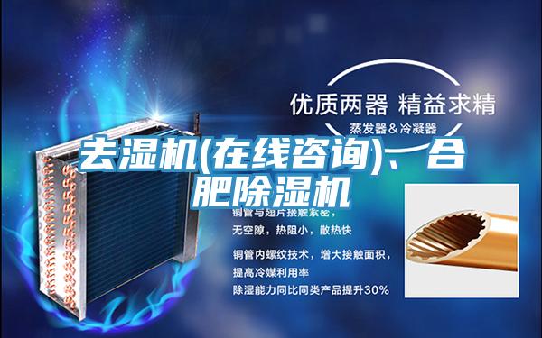 去濕機(在線咨詢)、合肥除濕機