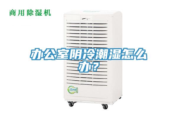 辦公室陰冷潮濕怎么辦？