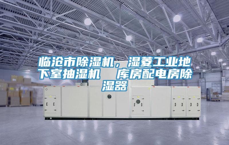 臨滄市除濕機(jī)，濕菱工業(yè)地下室抽濕機(jī)  庫房配電房除濕器