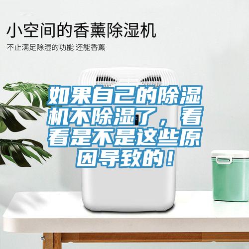 如果自己的除濕機(jī)不除濕了，看看是不是這些原因?qū)е碌模?></div>
								<div   id=