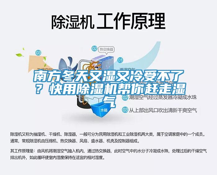 南方冬天又濕又冷受不了？快用除濕機(jī)幫你趕走濕氣