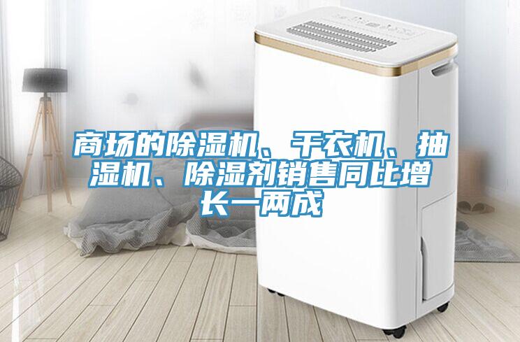 商場的除濕機(jī)、干衣機(jī)、抽濕機(jī)、除濕劑銷售同比增長一兩成