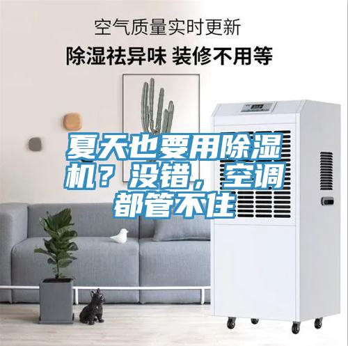 夏天也要用除濕機？沒錯，空調都管不住