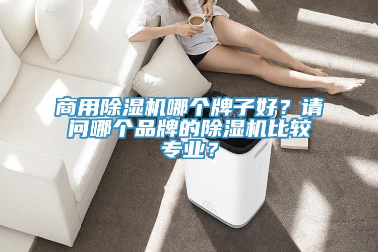 商用除濕機(jī)哪個(gè)牌子好？請(qǐng)問哪個(gè)品牌的除濕機(jī)比較專業(yè)？