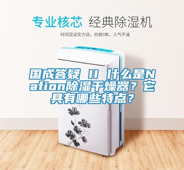 國成答疑 II 什么是Nafion除濕干燥器？它具有哪些特點？