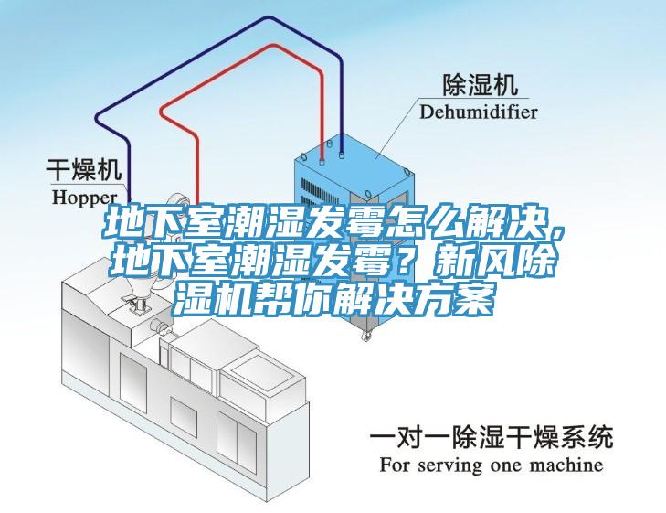 地下室潮濕發(fā)霉怎么解決，地下室潮濕發(fā)霉？新風除濕機幫你解決方案
