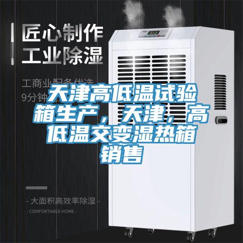 天津高低溫試驗箱生產(chǎn)，天津，高低溫交變濕熱箱銷售