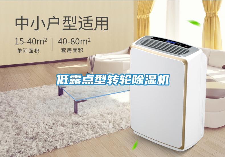 低露點型轉(zhuǎn)輪除濕機(jī)