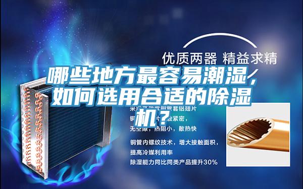 哪些地方最容易潮濕，如何選用合適的除濕機？