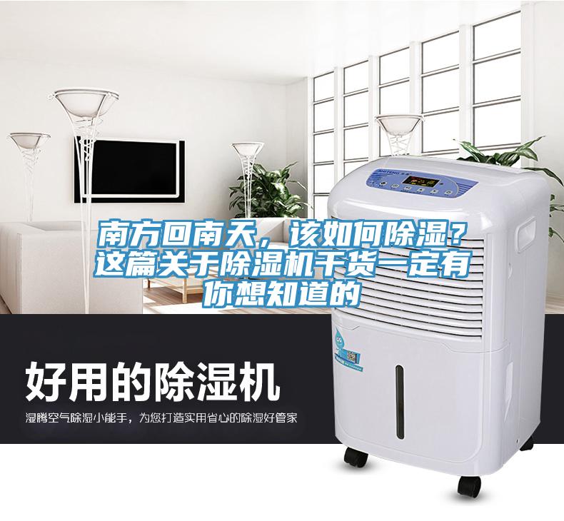 南方回南天，該如何除濕？這篇關(guān)于除濕機干貨一定有你想知道的