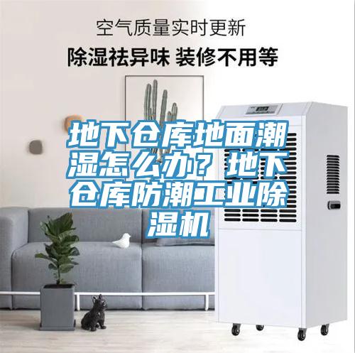 地下倉庫地面潮濕怎么辦？地下倉庫防潮工業(yè)除濕機