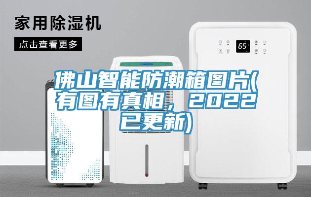 佛山智能防潮箱圖片(有圖有真相，2022已更新)